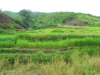 152_5221.JPG(2665100 bytes) -- Canon-Canon PowerShot G3,  2004:12:19 00:04:09,  [2272 x 1704],  fl=N,  f= 7.2mm  (35mm equivalent: 36mm),  exptime=0.0100 s  (1/100),  f/4.0