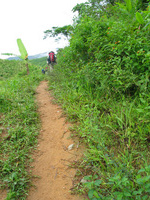 152_5222.JPG(2801096 bytes) -- Canon-Canon PowerShot G3,  2004:12:19 00:04:18,  [2272 x 1704],  fl=N,  f= 7.2mm  (35mm equivalent: 36mm),  exptime=0.0080 s  (1/125),  f/4.0