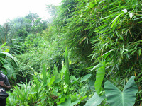 152_5226.JPG(2897683 bytes) -- Canon-Canon PowerShot G3,  2004:12:19 00:20:23,  [2272 x 1704],  fl=N,  f= 7.2mm  (35mm equivalent: 36mm),  exptime=0.020 s  (1/50),  f/3.5