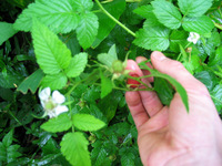 152_5229.JPG(1567283 bytes) -- Canon-Canon PowerShot G3,  2004:12:19 00:26:43,  [2272 x 1704],  fl=N,  f= 7.2mm  (35mm equivalent: 36mm),  exptime=0.020 s  (1/50),  f/2.0