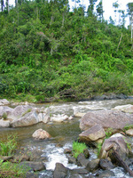 152_5232.JPG(2896307 bytes) -- Canon-Canon PowerShot G3,  2004:12:19 00:49:28,  [2272 x 1704],  fl=N,  f= 7.2mm  (35mm equivalent: 36mm),  exptime=0.0020 s  (1/500),  f/2.0