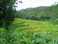 152_5241.JPG(1475362 bytes) -- Canon-Canon PowerShot G3,  2004:12:19 01:11:28,  [2272 x 1704],  fl=N,  f= 7.2mm  (35mm equivalent: 36mm),  exptime=0.0050 s  (1/200),  f/4.0