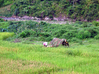 152_5242.JPG(3164147 bytes) -- Canon-Canon PowerShot G3,  2004:12:19 01:12:00,  [2272 x 1704],  fl=N,  f=28.8mm  (35mm equivalent: 146mm),  exptime=0.0040 s  (1/250),  f/4.0