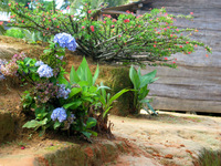 152_5249.JPG(2177116 bytes) -- Canon-Canon PowerShot G3,  2004:12:19 01:18:50,  [2272 x 1704],  fl=N,  f=23.0mm  (35mm equivalent: 116mm),  exptime=0.0040 s  (1/250),  f/2.8