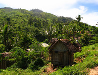 152_5257.JPG(3247976 bytes) -- Canon-Canon PowerShot G3,  2004:12:19 02:05:48,  [2115 x 1617],  fl=N,  f= 7.2mm  (35mm equivalent: 36mm),  exptime=0.0016 s  (1/640),  f/4.0