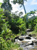 152_5260.JPG(2087445 bytes) -- Canon-Canon PowerShot G3,  2004:12:19 02:44:34,  [2272 x 1704],  fl=N,  f= 7.2mm  (35mm equivalent: 36mm),  exptime=0.0025 s  (1/400),  f/4.0