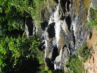 152_5261.JPG(2009395 bytes) -- Canon-Canon PowerShot G3,  2004:12:19 02:44:41,  [2272 x 1704],  fl=N,  f=11.2mm  (35mm equivalent: 57mm),  exptime=0.0016 s  (1/640),  f/4.0