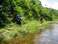 152_5264.JPG(1901477 bytes) -- Canon-Canon PowerShot G3,  2004:12:19 03:37:03,  [2272 x 1704],  fl=N,  f= 7.2mm  (35mm equivalent: 36mm),  exptime=0.0031 s  (1/320),  f/4.0