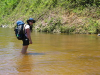 152_5270.JPG(1411601 bytes) -- Canon-Canon PowerShot G3,  2004:12:19 03:40:51,  [2272 x 1704],  fl=N,  f=15.8mm  (35mm equivalent: 80mm),  exptime=0.0020 s  (1/500),  f/4.0