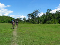 152_5272.JPG(1542986 bytes) -- Canon-Canon PowerShot G3,  2004:12:19 04:08:31,  [2272 x 1704],  fl=N,  f= 7.2mm  (35mm equivalent: 36mm),  exptime=0.0012 s  (1/800),  f/4.0