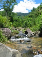 152_5278.JPG(1979313 bytes) -- Canon-Canon PowerShot G3,  2004:12:19 04:53:10,  [2272 x 1704],  fl=N,  f= 7.2mm  (35mm equivalent: 36mm),  exptime=0.0016 s  (1/640),  f/4.0