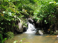 152_5279.JPG(1731801 bytes) -- Canon-Canon PowerShot G3,  2004:12:19 05:16:13,  [2272 x 1704],  fl=N,  f= 7.2mm  (35mm equivalent: 36mm),  exptime=0.0031 s  (1/320),  f/4.0