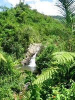 152_5280.JPG(2308635 bytes) -- Canon-Canon PowerShot G3,  2004:12:19 05:49:00,  [2272 x 1704],  fl=N,  f= 7.2mm  (35mm equivalent: 36mm),  exptime=0.0050 s  (1/200),  f/5.6