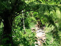 152_5282.JPG(2127190 bytes) -- Canon-Canon PowerShot G3,  2004:12:19 05:49:17,  [2272 x 1704],  fl=N,  f=10.2mm  (35mm equivalent: 52mm),  exptime=0.0063 s  (1/160),  f/5.6