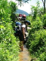 152_5283.JPG(2036683 bytes) -- Canon-Canon PowerShot G3,  2004:12:19 05:50:29,  [2272 x 1704],  fl=N,  f=12.7mm  (35mm equivalent: 64mm),  exptime=0.0050 s  (1/200),  f/5.6