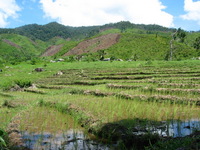 152_5284.JPG(1693573 bytes) -- Canon-Canon PowerShot G3,  2004:12:19 05:55:40,  [2272 x 1704],  fl=N,  f= 7.2mm  (35mm equivalent: 36mm),  exptime=0.0040 s  (1/250),  f/5.6