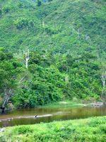 152_5289.JPG(2970119 bytes) -- Canon-Canon PowerShot G3,  2004:12:19 07:02:26,  [2272 x 1704],  fl=N,  f=28.8mm  (35mm equivalent: 146mm),  exptime=0.013 s  (1/80),  f/4.0