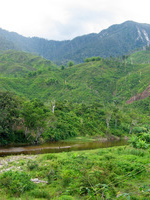 152_5290.JPG(2262222 bytes) -- Canon-Canon PowerShot G3,  2004:12:19 07:02:35,  [2272 x 1704],  fl=N,  f=14.4mm  (35mm equivalent: 73mm),  exptime=0.013 s  (1/80),  f/4.0