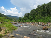 153_5392.JPG(1393871 bytes) -- Canon-Canon PowerShot G3,  2004:12:21 03:32:56,  [2272 x 1704],  fl=N,  f= 7.2mm  (35mm equivalent: 36mm),  exptime=0.0010 s  (1/1000),  f/4.0