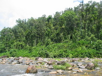 153_5393.JPG(1919151 bytes) -- Canon-Canon PowerShot G3,  2004:12:21 03:33:12,  [2272 x 1704],  fl=N,  f= 8.0mm  (35mm equivalent: 40mm),  exptime=0.0025 s  (1/400),  f/4.0