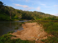 154_5411.JPG(1218208 bytes) -- Canon-Canon PowerShot G3,  2004:12:21 23:41:13,  [2272 x 1704],  fl=N,  f= 7.2mm  (35mm equivalent: 36mm),  exptime=0.0020 s  (1/500),  f/4.0