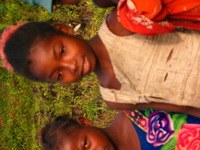 154_5415.JPG(914622 bytes) -- Canon-Canon PowerShot G3,  2004:12:21 23:42:05,  [2272 x 1704],  fl=N,  f=28.8mm  (35mm equivalent: 146mm),  exptime=0.0031 s  (1/320),  f/4.0