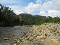 154_5417.JPG(1242432 bytes) -- Canon-Canon PowerShot G3,  2004:12:22 01:29:59,  [2272 x 1704],  fl=N,  f= 7.2mm  (35mm equivalent: 36mm),  exptime=0.0012 s  (1/800),  f/4.0