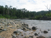 154_5419.JPG(1251351 bytes) -- Canon-Canon PowerShot G3,  2004:12:22 01:30:13,  [2272 x 1704],  fl=N,  f= 7.2mm  (35mm equivalent: 36mm),  exptime=0.0012 s  (1/800),  f/4.0