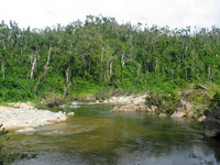 154_5424.JPG(2664350 bytes) -- Canon-Canon PowerShot G3,  2004:12:22 01:51:43,  [2272 x 1704],  fl=N,  f= 7.2mm  (35mm equivalent: 36mm),  exptime=0.0020 s  (1/500),  f/4.0