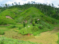 154_5431.JPG(2800118 bytes) -- Canon-Canon PowerShot G3,  2004:12:22 05:14:35,  [2272 x 1704],  fl=N,  f= 7.2mm  (35mm equivalent: 36mm),  exptime=0.0020 s  (1/500),  f/4.0