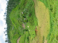 154_5432.JPG(1891696 bytes) -- Canon-Canon PowerShot G3,  2004:12:22 05:14:46,  [2272 x 1704],  fl=N,  f= 7.2mm  (35mm equivalent: 36mm),  exptime=0.0025 s  (1/400),  f/4.0