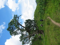 154_5433.JPG(1339517 bytes) -- Canon-Canon PowerShot G3,  2004:12:22 05:15:03,  [2272 x 1704],  fl=N,  f= 7.2mm  (35mm equivalent: 36mm),  exptime=0.0012 s  (1/800),  f/4.0