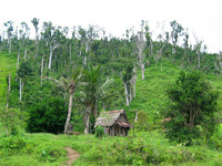 154_5434.JPG(2579693 bytes) -- Canon-Canon PowerShot G3,  2004:12:22 05:16:55,  [2272 x 1704],  fl=N,  f=12.7mm  (35mm equivalent: 64mm),  exptime=0.0040 s  (1/250),  f/4.0