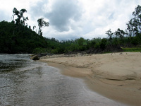 154_5435.JPG(1858597 bytes) -- Canon-Canon PowerShot G3,  2004:12:22 05:44:09,  [2272 x 1704],  fl=N,  f= 7.2mm  (35mm equivalent: 36mm),  exptime=0.0008 s  (1/1250),  f/4.0