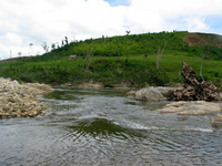 154_5436.JPG(2147706 bytes) -- Canon-Canon PowerShot G3,  2004:12:22 05:44:15,  [2272 x 1704],  fl=N,  f= 7.2mm  (35mm equivalent: 36mm),  exptime=0.0016 s  (1/640),  f/4.0