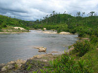 154_5438.JPG(2047167 bytes) -- Canon-Canon PowerShot G3,  2004:12:22 06:30:30,  [2272 x 1704],  fl=N,  f= 7.2mm  (35mm equivalent: 36mm),  exptime=0.0031 s  (1/320),  f/4.0