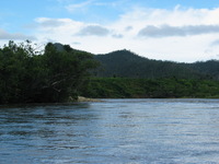 154_5449.JPG(1101682 bytes) -- Canon-Canon PowerShot G3,  2004:12:22 08:10:27,  [2272 x 1704],  fl=N,  f=17.6mm  (35mm equivalent: 89mm),  exptime=0.0016 s  (1/640),  f/4.0