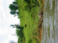 154_5451.JPG(2360640 bytes) -- Canon-Canon PowerShot G3,  2004:12:22 08:28:14,  [2272 x 1704],  fl=N,  f=11.2mm  (35mm equivalent: 57mm),  exptime=0.0063 s  (1/160),  f/4.0