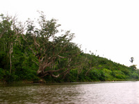 154_5454.JPG(1327406 bytes) -- Canon-Canon PowerShot G3,  2004:12:22 09:47:03,  [2272 x 1704],  fl=N,  f=11.2mm  (35mm equivalent: 57mm),  exptime=0.040 s  (1/25),  f/8.0