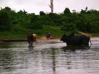 154_5457.JPG(1010536 bytes) -- Canon-Canon PowerShot G3,  2004:12:22 10:21:38,  [2272 x 1704],  fl=N,  f=28.8mm  (35mm equivalent: 146mm),  exptime=0.0080 s  (1/125),  f/4.0