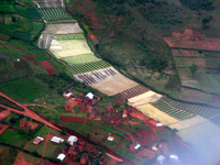 154_5482.JPG(2428700 bytes) -- Canon-Canon PowerShot G3,  2004:12:23 09:24:57,  [2272 x 1704],  fl=N,  f=25.1mm  (35mm equivalent: 127mm),  exptime=0.017 s  (1/60),  f/4.0