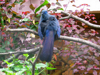 155_5581.JPG(1928839 bytes) -- Canon-Canon PowerShot G3,  2004:12:27 08:03:05,  [2272 x 1704],  fl=N,  f=28.8mm  (35mm equivalent: 146mm),  exptime=0.017 s  (1/60),  f/4.0