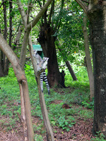 155_5583.JPG(2260667 bytes) -- Canon-Canon PowerShot G3,  2004:12:27 08:11:37,  [2272 x 1704],  fl=Y,  f=28.8mm  (35mm equivalent: 146mm),  exptime=0.033 s  (1/30),  f/3.0