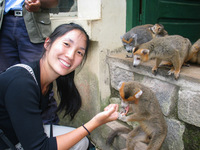 155_5584.JPG(1754248 bytes) -- Canon-Canon PowerShot G3,  2004:12:27 08:31:24,  [2272 x 1704],  fl=Y,  f= 7.2mm  (35mm equivalent: 36mm),  exptime=0.025 s  (1/40),  f/3.5