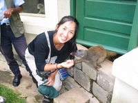 155_5586.JPG(1570291 bytes) -- Canon-Canon PowerShot G3,  2004:12:27 08:34:20,  [2272 x 1704],  fl=Y,  f= 7.2mm  (35mm equivalent: 36mm),  exptime=0.025 s  (1/40),  f/3.5