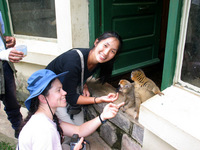 155_5587.JPG(1409139 bytes) -- Canon-Canon PowerShot G3,  2004:12:27 08:34:44,  [2272 x 1704],  fl=Y,  f= 7.2mm  (35mm equivalent: 36mm),  exptime=0.025 s  (1/40),  f/3.2