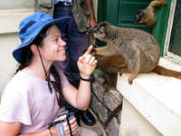 155_5588.JPG(1586097 bytes) -- Canon-Canon PowerShot G3,  2004:12:27 08:36:17,  [2272 x 1704],  fl=Y,  f= 7.2mm  (35mm equivalent: 36mm),  exptime=0.025 s  (1/40),  f/3.2