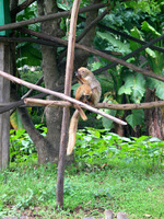 155_5589.JPG(2157305 bytes) -- Canon-Canon PowerShot G3,  2004:12:27 08:43:26,  [2272 x 1704],  fl=Y,  f=28.8mm  (35mm equivalent: 146mm),  exptime=0.025 s  (1/40),  f/3.0