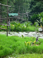 155_5590.JPG(2392337 bytes) -- Canon-Canon PowerShot G3,  2004:12:27 08:52:09,  [2272 x 1704],  fl=N,  f=28.8mm  (35mm equivalent: 146mm),  exptime=0.013 s  (1/80),  f/4.0