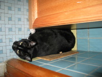 Canon PowerShot G3, 2005:01:22 13:20:41 -- 1/60 sec, f/2.0.  Flash, Auto, Red-Eye Reduce.2272x1704 Red-Eye Reduction (Auto).